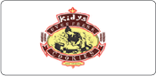 Client logo 29